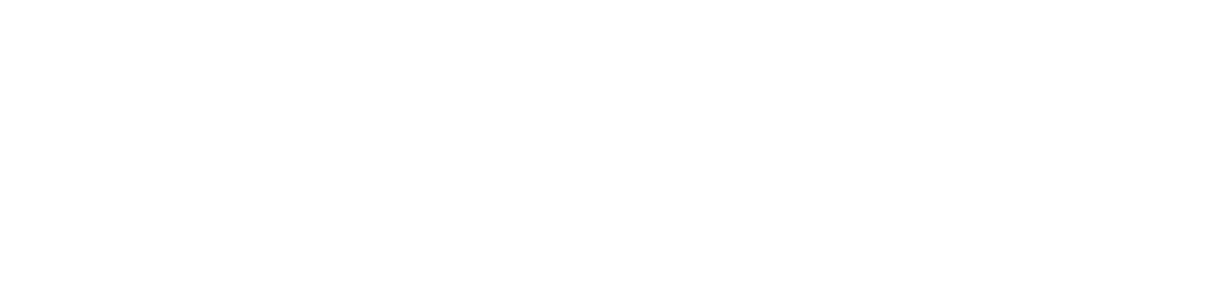 Hochi Logo